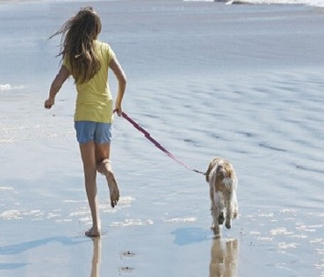 pet friendly vacation rentals emerald isle nc