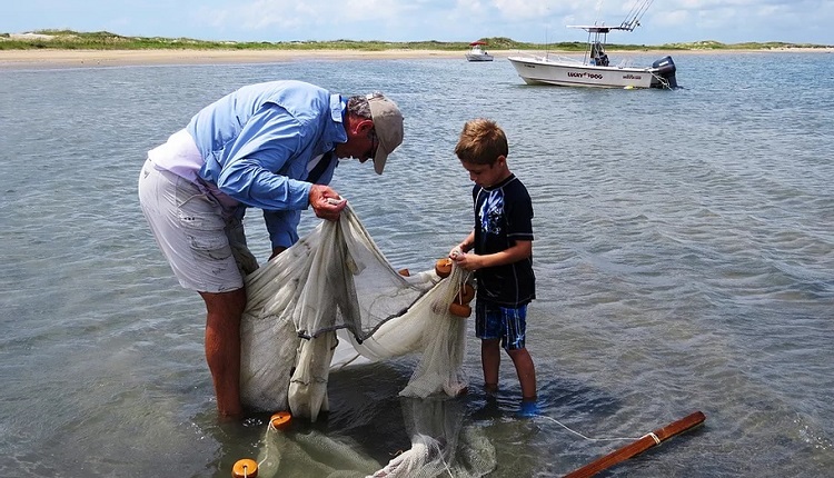 Customize an ecology tour with Crystal Coast Ecotours