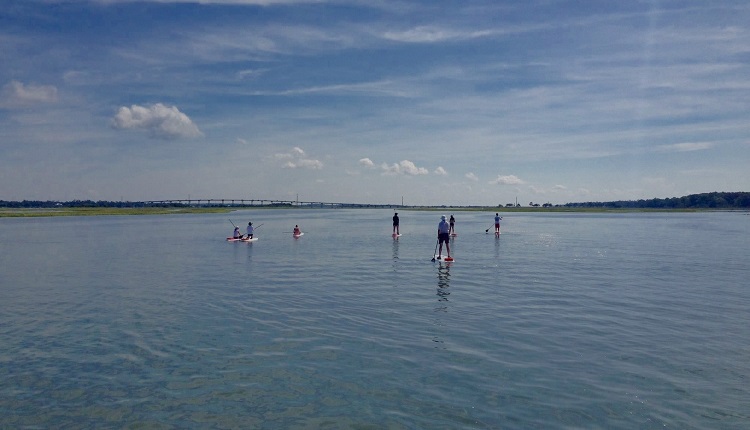 Go on a guided paddle boarding tour of Bogue Sound 