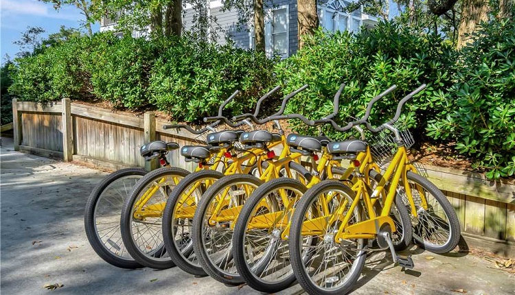 Go exploring on a family bike ride