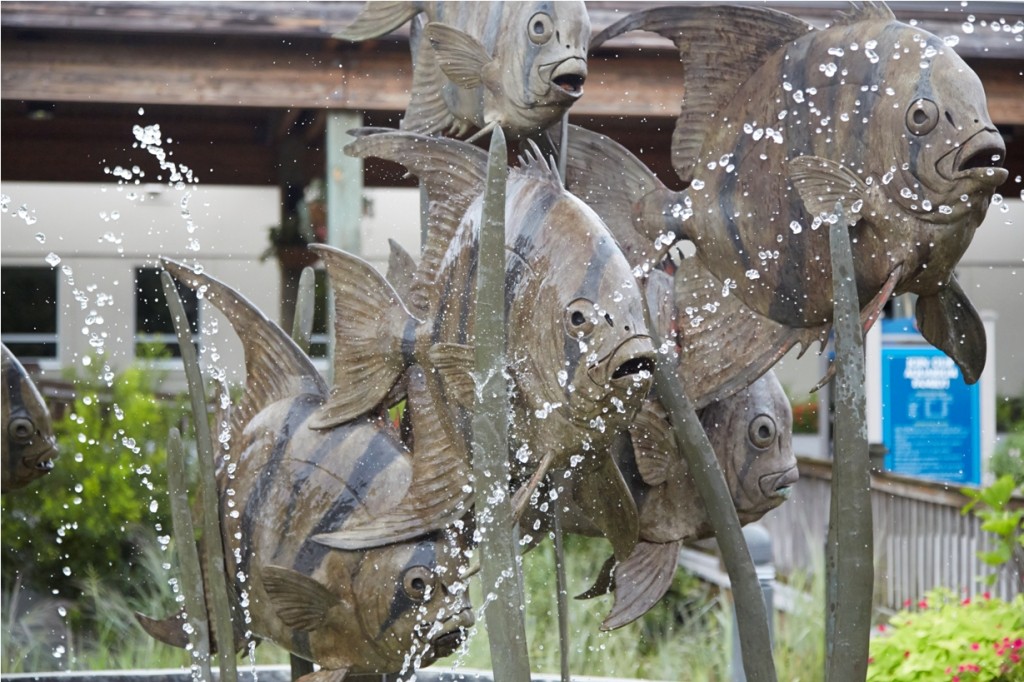 North Carolina Aquarium Sculpture