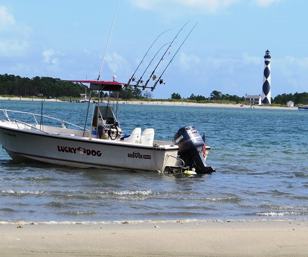 Crystal Coast Ecotours - Cape Lookout Cruises