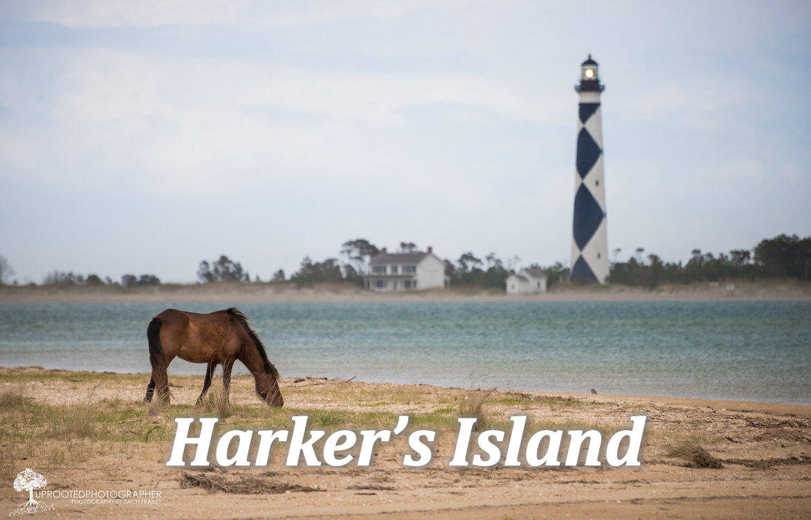 Explore Harker's Island Find Things to Do on Harker's Island, NC
