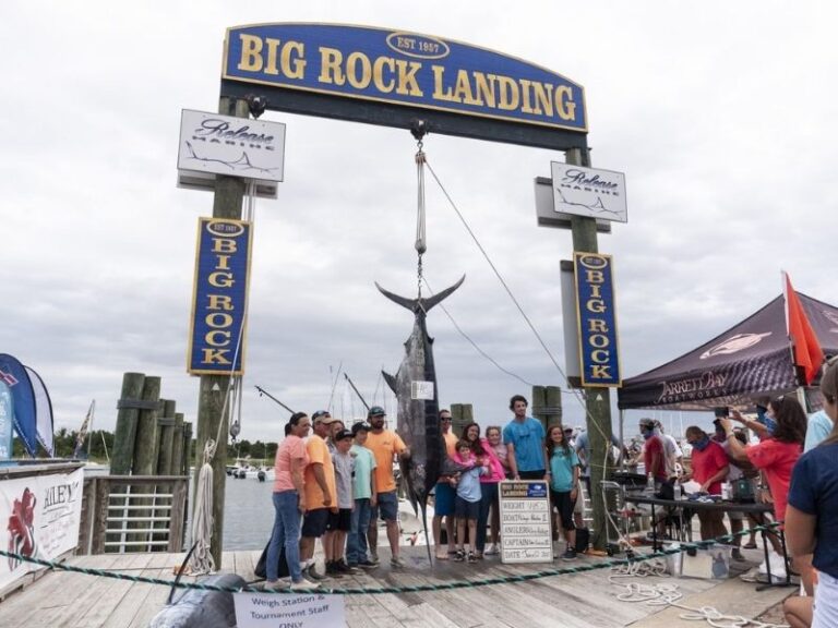 Big Rock Blue Marlin Tournament 2024 Locations Near Me Tory Ainslee