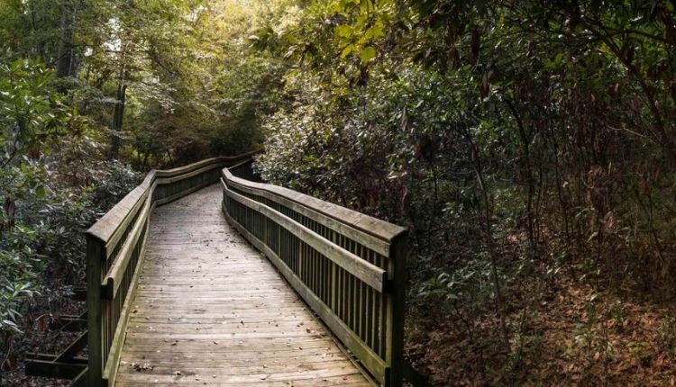 Emerald Isle Woods Park