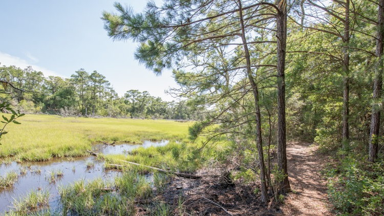 Explore nature’s beauty on area walking and biking trails