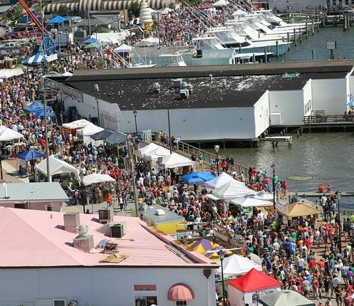 NC Seafood Festival - Fall Festivals