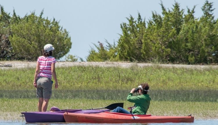 Kayak to Rachel Carson Reserve