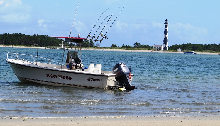 Cape Lookout Lighthouse - Crystal Coast Ecotours