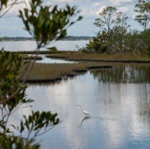 View of Bogue Sound