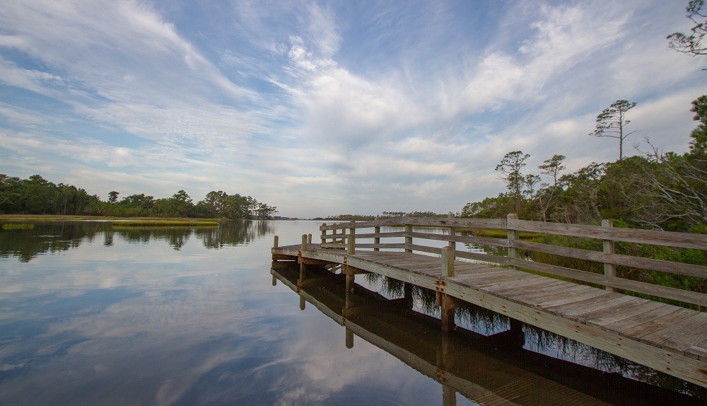 Croatan National Forest - Pet Friendly Things to Do in Emerald Isle