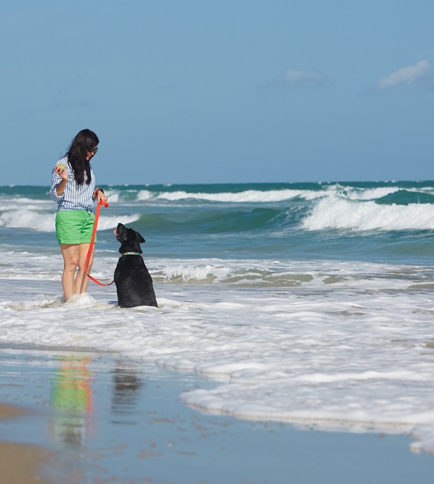 Pet Friendly Things to Do on North Carolina’s Crystal Coast