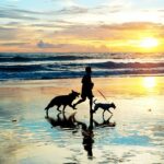 Best Pet Friendly Vacations on North Carolina’s Crystal Coast