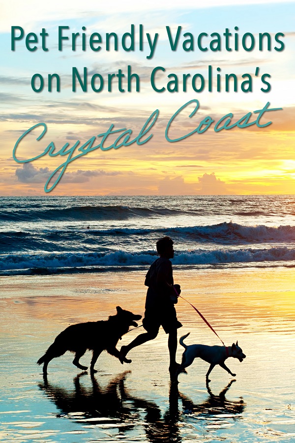 Best Pet Friendly Vacations on North Carolina’s Crystal Coast