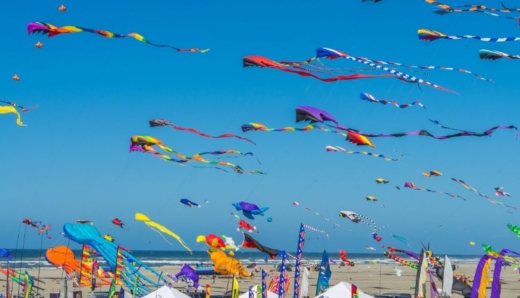 Carolina Kite Fest