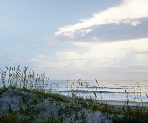 Winter Beach Getaways to North Carolina's Crystal Coast