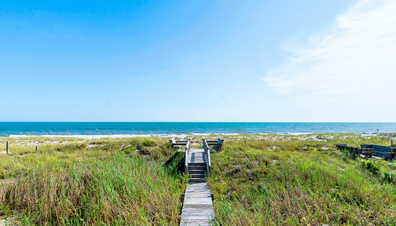 Cardinal - beach view