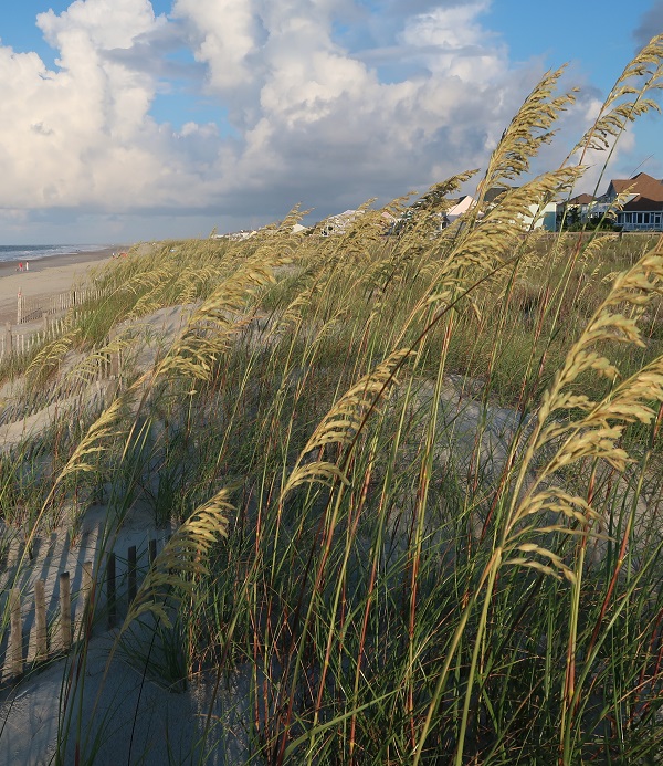 Homes on Beaches in Emerald Isle NC