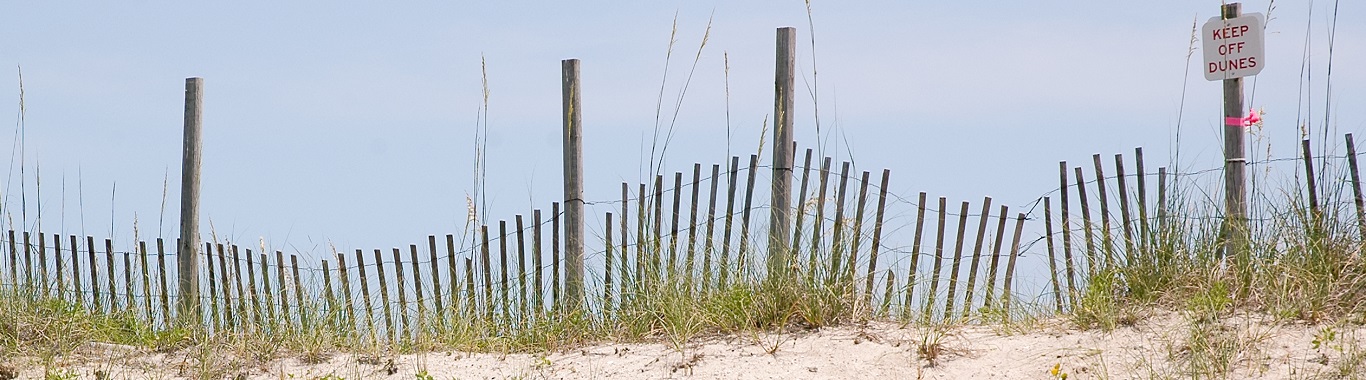 Sand Dunes at Emerald Isle Beaches