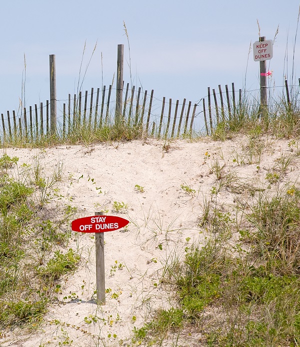 Sand Dunes at Emerald Isle Beaches