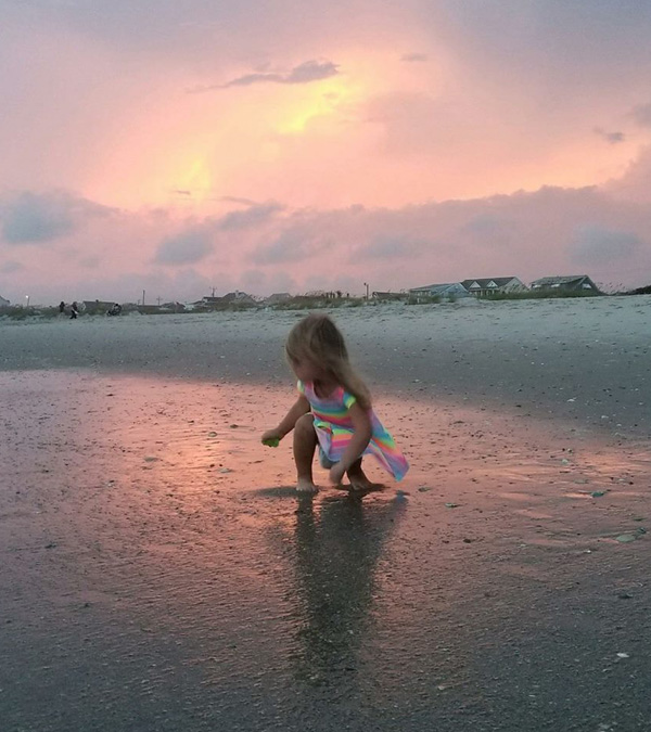 Best Shelling Beaches in North Carolina’s Outer Banks Emerald Isle Realty