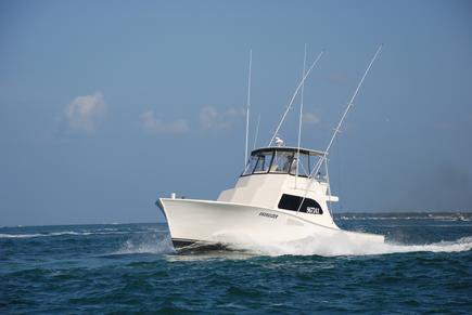 Energizer Sportfishing Fishing Charter Boat