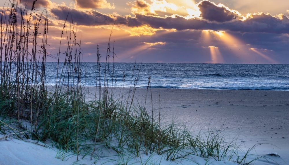 Best time to find seashells on beach is after storm