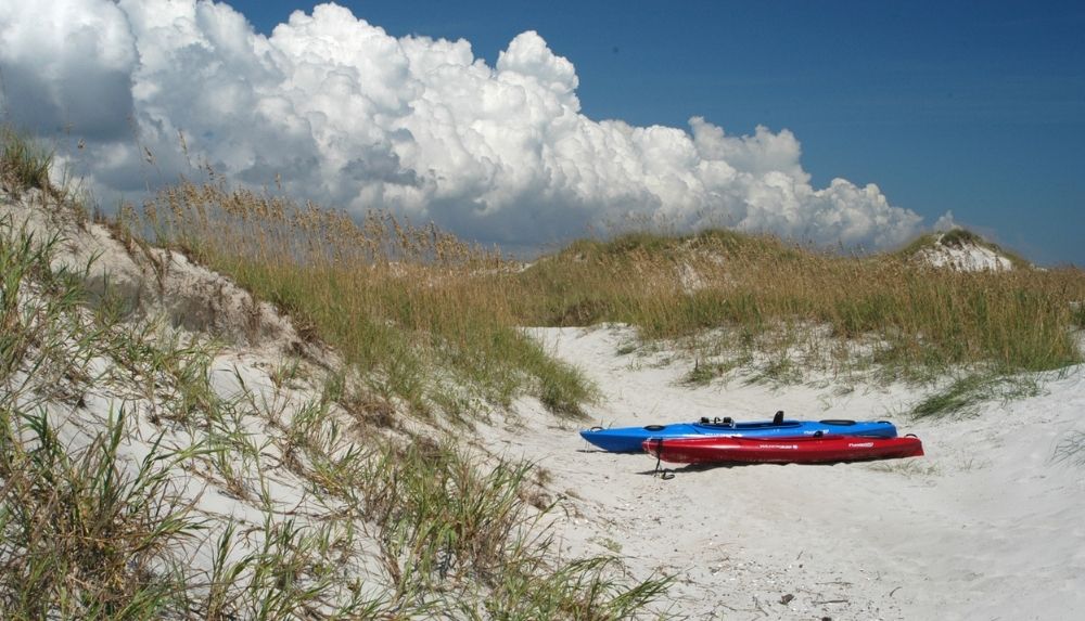 Shelling at Bear Island and Hammocks Beach State Park