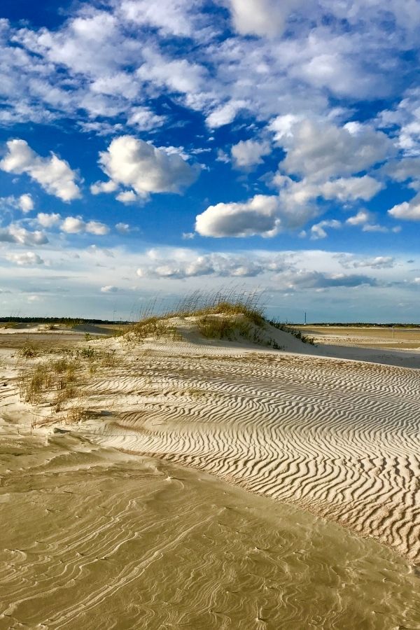 Shelling at The Point in Emerald Isle NC