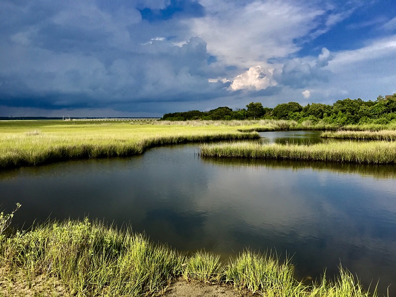 Saltwater Marshes in Emerald Isle, NC