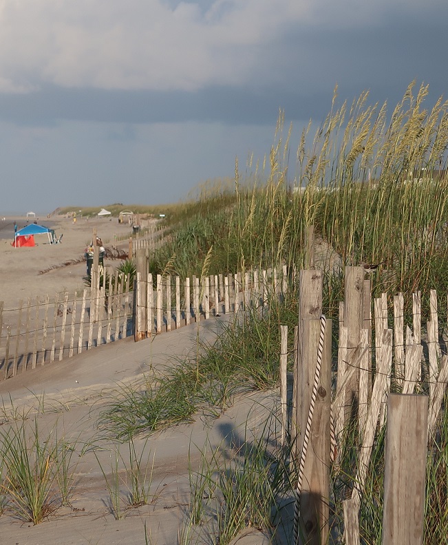 Crystal Coast MLS Search Emerald Isle and Outer Banks, NC MLS Listings