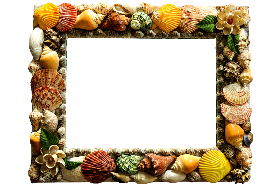 Handmade Shell Frame Embellished Seashell Frame Decorative 