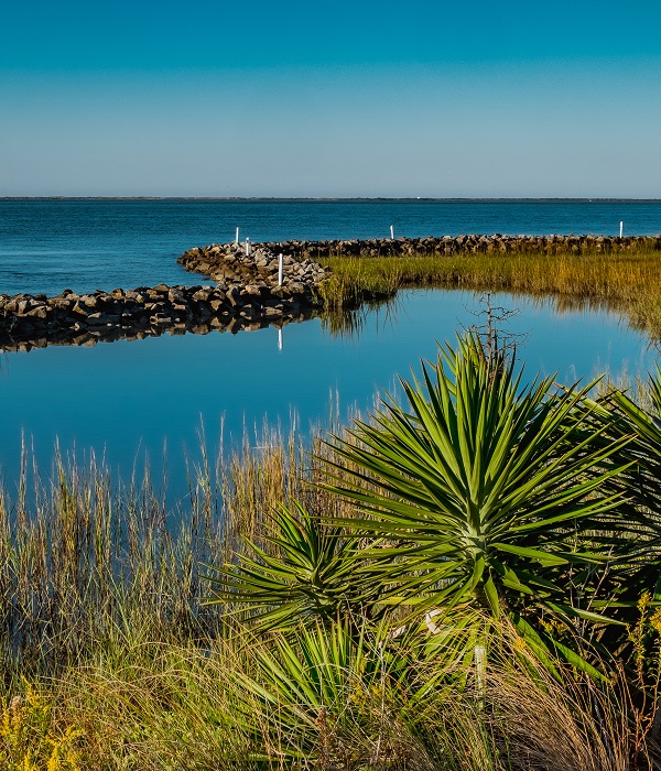 Explore Harkers Island Find Things to Do on Harkers Island, NC