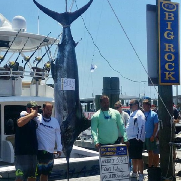 Big Rock Blue Marlin Tournament - Morehead City, NC