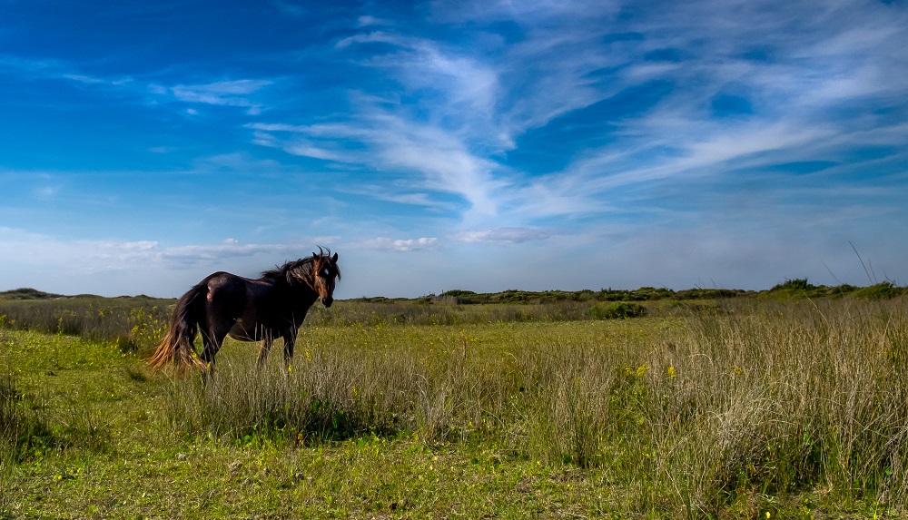 Indulge in even more romantic things to do in Emerald Isle.