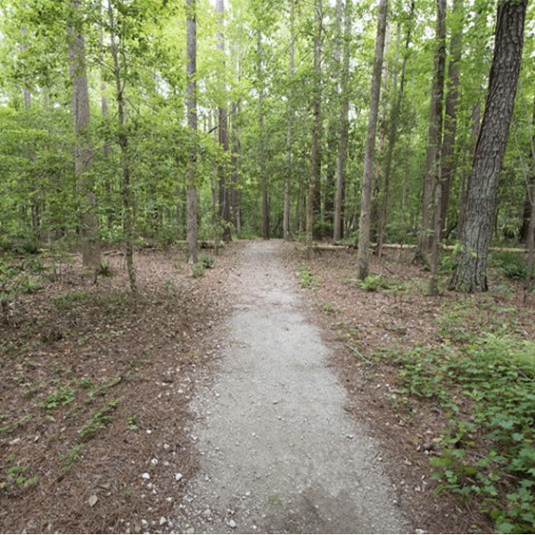 Patsy Pond Nature Trail