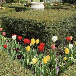 Tryon Palace Gardens in New Bern, NC