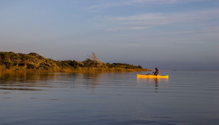 Rachel Carson Estuarine Reserve