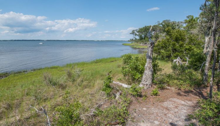 Theodore Roosevelt Natural Area