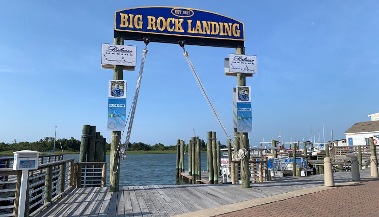 Find eye-catching scenic spots throughout Morehead City