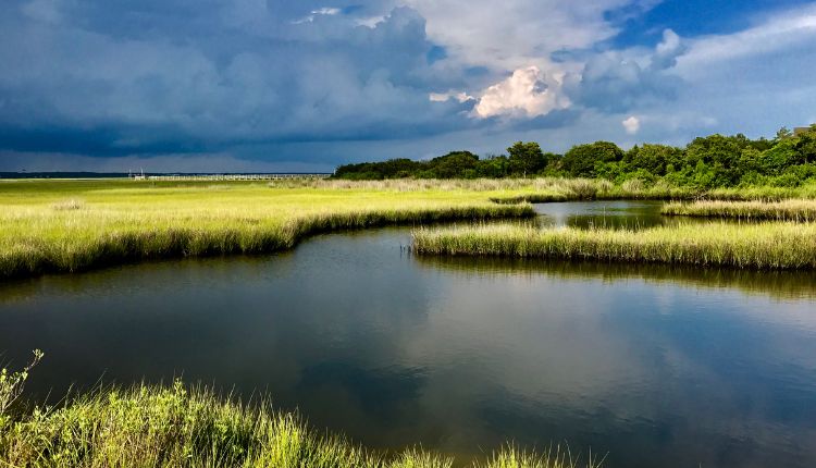 Photo ops abound on Bogue Sound