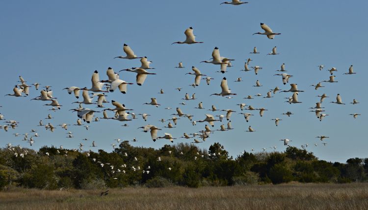 Hoop Pole Creek Nature Trail is filled with scenic photo spots