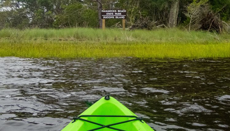 Get incredible photos at Bear Island