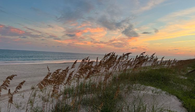 Endless ocean views on Crystal Coast beaches make the perfect backdrop