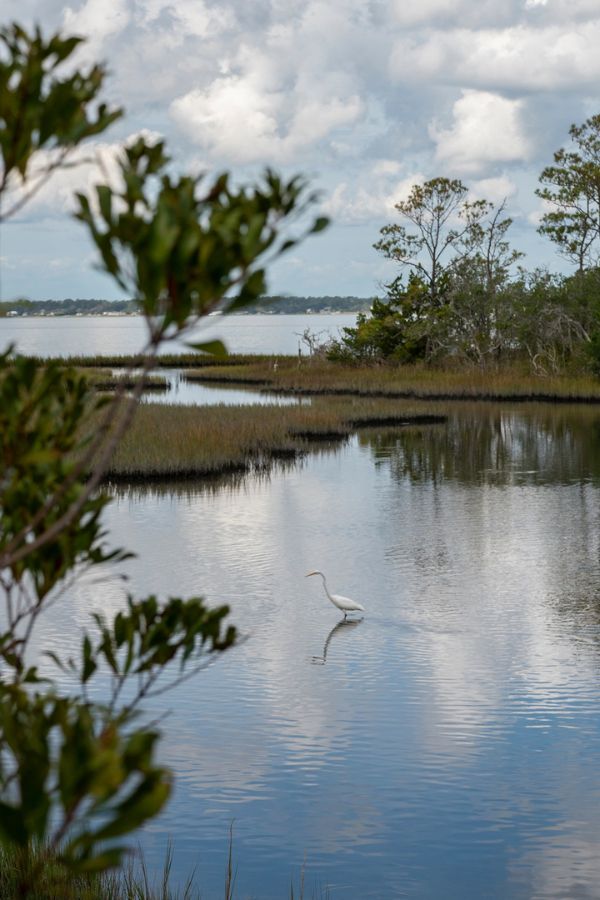 Snap a few pics at the Theodore Roosevelt Natural Area