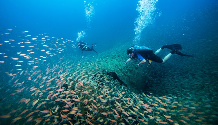 Shipwreck diving in Morehead City