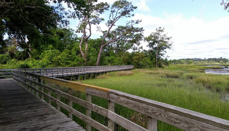 Calico Creek Boardwalk in Morehead City, NC