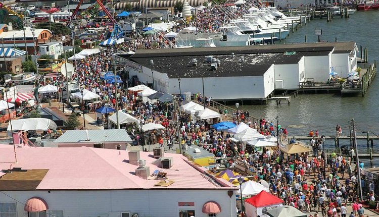 North Carolina Seafood Festival in Morehead City, NC