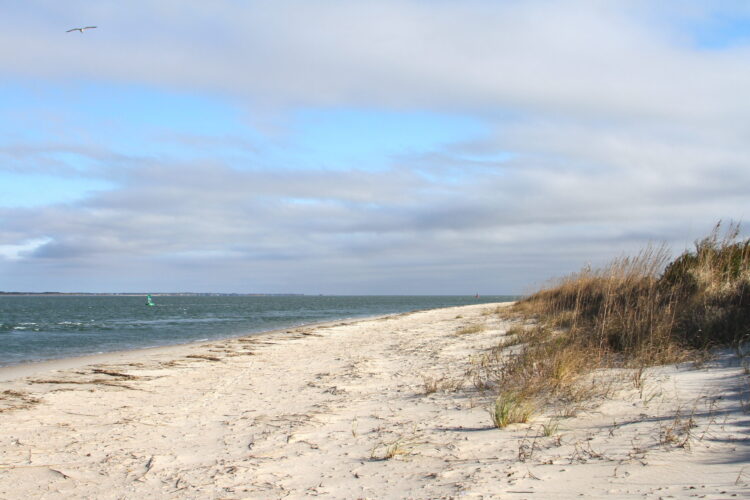 Have a picnic with the girls on the beaches at Fort Macon State Park