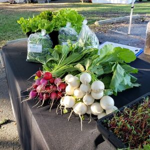 Beaufort Farmers' Market